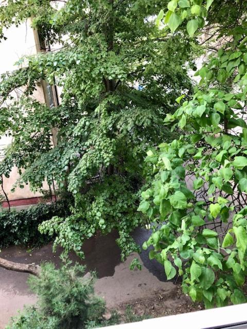 Wld House Apartment Constanta Bagian luar foto
